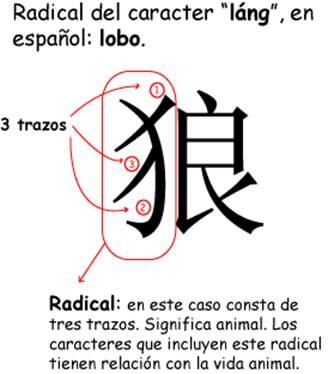 Localización Caráter 01